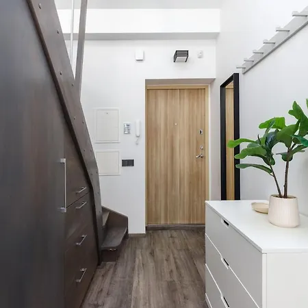 Apartment Stylish Paupys Loft With Balcony & View With Free Parking *