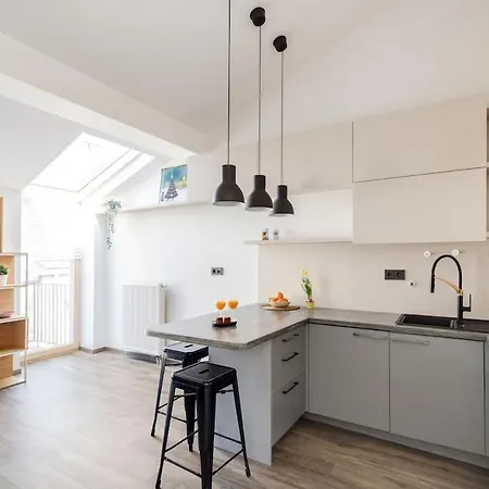 Apartment Stylish Paupys Loft With Balcony & View With Free Parking *