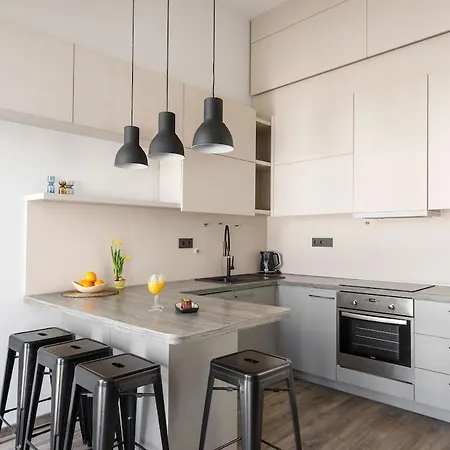 Stylish Paupys Loft With Balcony & View With Free Parking Apartment