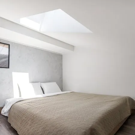 Stylish Paupys Loft With Balcony & View With Free Parking Vilnius