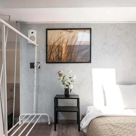 Stylish Paupys Loft With Balcony & View With Free Parking Apartment Vilnius